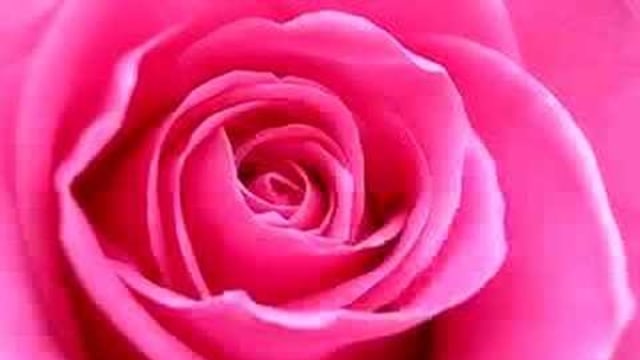 Meditation - ich liebe dich Erde !