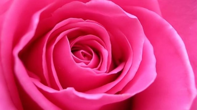 Meditation - Ich liebe Dich, Erde!