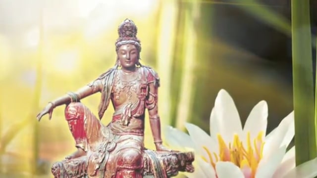 О Сострадании и Милосердии