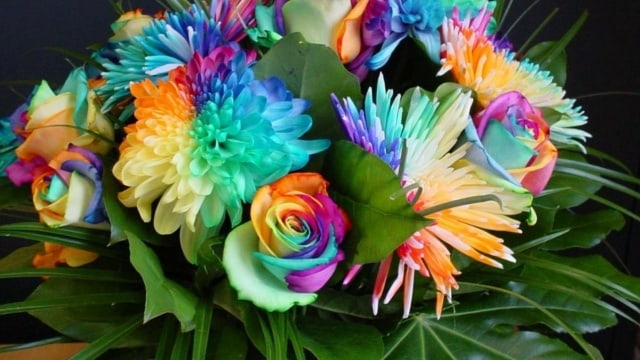 Поздравление с Международным Женским Днём!