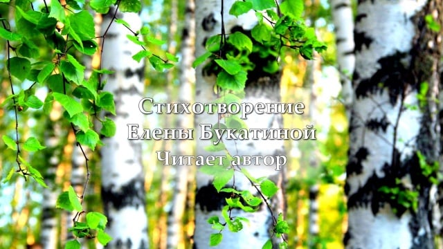 Россия. Елена Букатина.