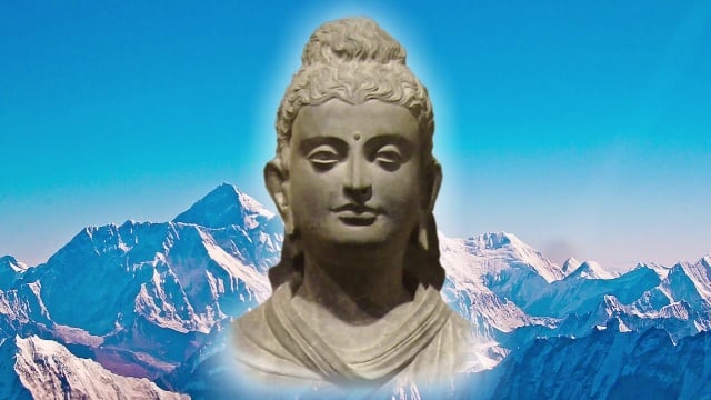 Умейте разглядеть корень истины.