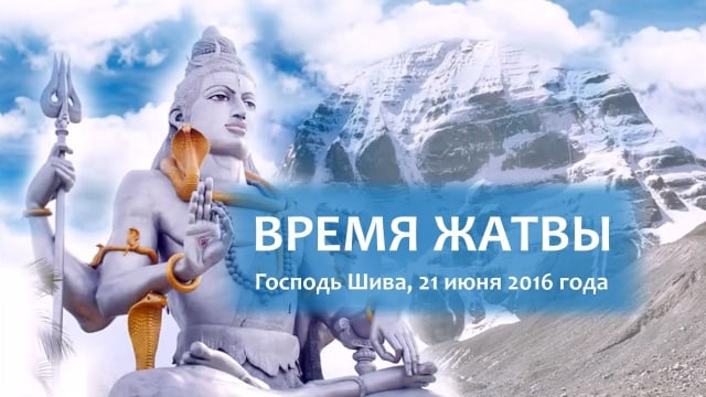 Время жатвы