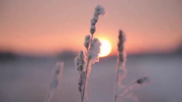 Зинаида Миркина. Легчайший снег на крыльях белых Спускался медленно с небес....